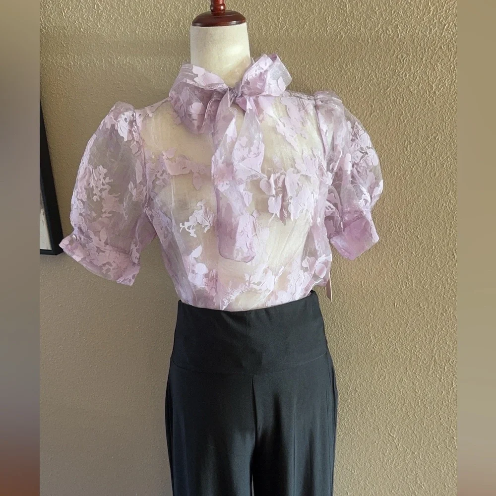 Gorgeous lilac organza sheer top
